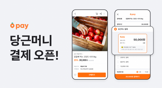 당근마켓이 선불충전금 '당근머니'에 결제 기능을 추가했다./사진 제공=당근마켓
