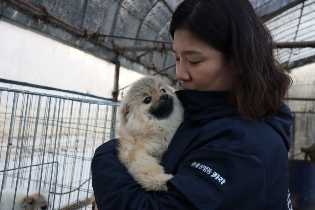 17일 연천의 한 번식장에서 구조한 개를 안고 있는 고현선 카라 활동가. 사진 제공=카라