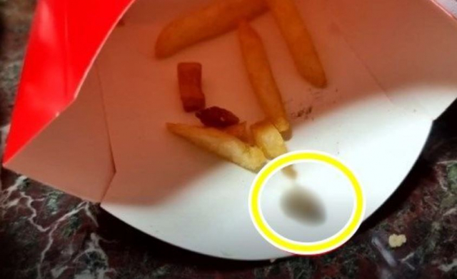맥도날드 감자튀김에서 발견된 벌레 추정 이물질/인터넷 커뮤니티 화면 갈무리