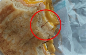 “질겼던 햄버거, 알고보니 나무가시"…맥도날드 이물질 또 논란
