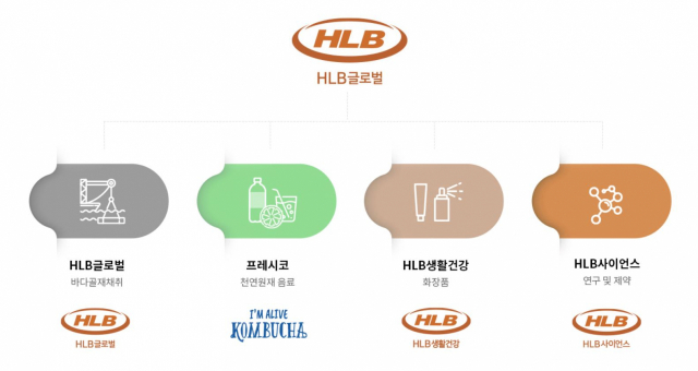HLB글로벌 자회사와 주요 사업 현황. 홈페이지 캡처