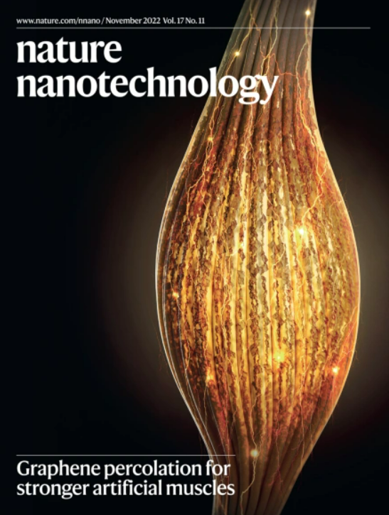 인공근육 섬유 다발을 표현한 ‘네이처 나노테크놀로지’의 11월호 표지. 사진 제공=KAIST