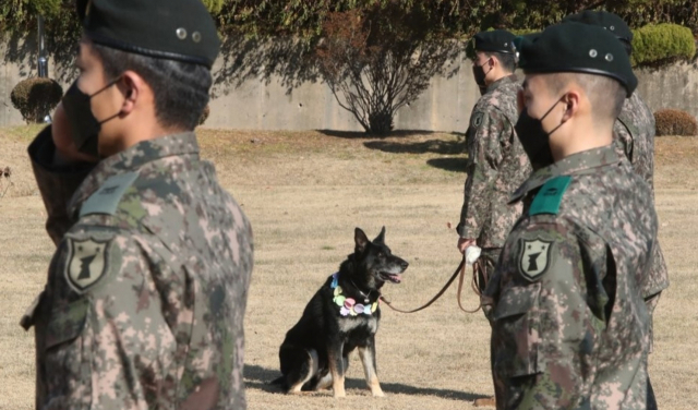 8일 오후 세종 금남면 육군 32보병사단 기동대대에서 군견 달관이의 은퇴식이 열렸다. 연합뉴스 갈무리