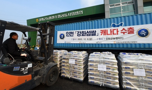 오는 12일 부산항을 통해 캐나다로 수출되는 '강화섬쌀'이 컨테이너에 상차되고 있다. 연합뉴스