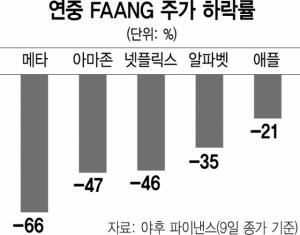 사진 설명