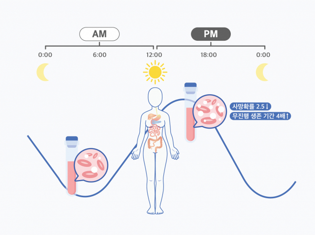 일주기 리듬을 고려한 시간항암요법. 사진제공=IBS