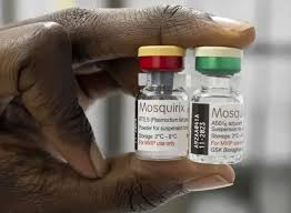 GSK가 개발한 말라리아 예방백신 '모스퀴릭스'. 사진 제공=GSK