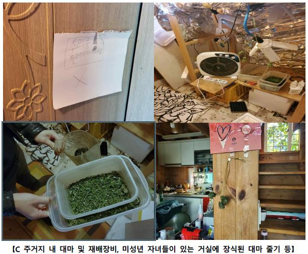 서울중앙지검은 지난 2일 재벌가 3세 등 부유층, 해외 유학생, 연예인 사이에서 자행된 조직적 대마 유통, 미성년 자녀와 사는 집안에서 행해진 대마 재배, 형제들의 직업적 대마 판매 사실 등을 적발했다. 사진은 미국 국적 가수인 C씨 주거지에서 발견된 대마 및 재배장비와 거실에 장식된 대마 줄기. 사진제공=서울중앙지검