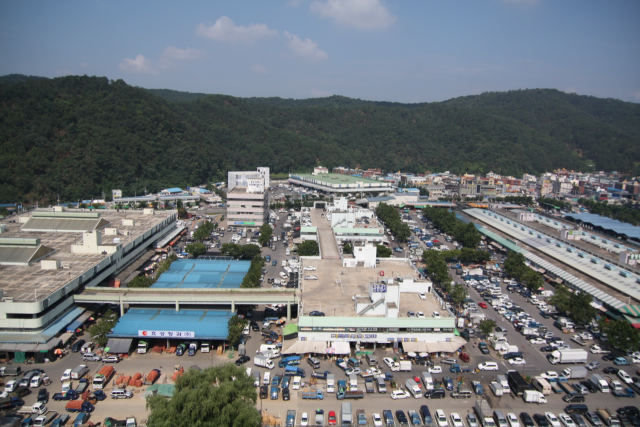 대구농수산물도매시장 전경. 사진 제공=대구시