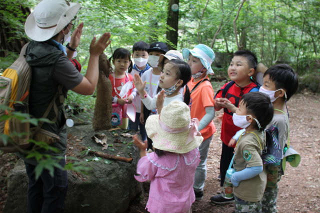 어린이들이 전남 곡성군 섬진강도깨비마을에서 진행된 숲 체험 교육 프로그램에서 숲해설사의 설명을 듣고 있다. 사진 제공=한국산림복지진흥원