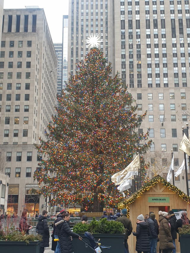 22일(현지 시간) 뉴욕 맨해튼 록펠러 센터에 위치한 크리스마스 트리. 뉴욕=김영필 특파원
