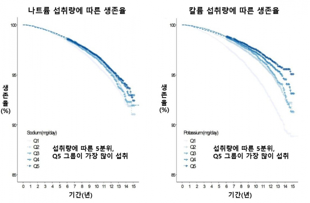 나트륨(왼쪽)·칼륨 섭취량에 따른 생존율 현황. 사진 제공=세브란스병원