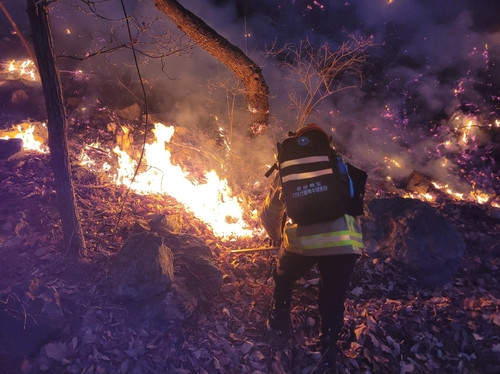 경북 성주 야산 산불…소방 밤샘 진화작업