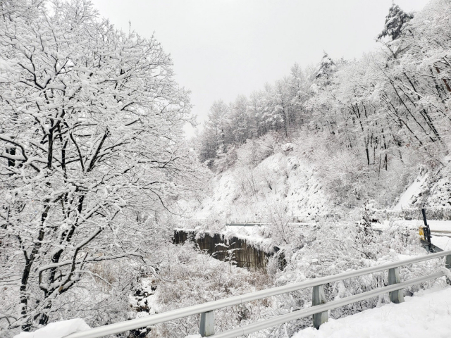 15일 오후 강원 화천군 화천읍 부다리 터널 인근에 많은 눈이 수북이 쌓여 있다. 연합뉴스