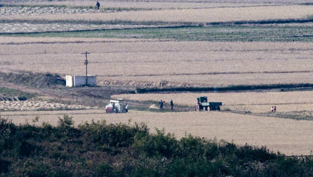 김정은도 '고난의 행군' 언급…北 최악의 식량난 어떻길래