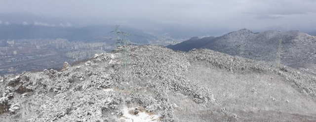 사진은 기사와 직접적인 관련이 없습니다. 연합뉴스=독자 제공