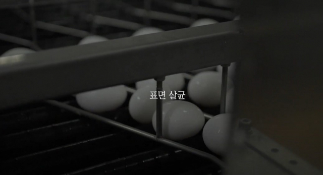 달걀 선별 포장 과정/사진 제공=해밀