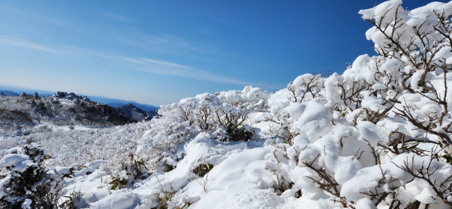 1일 전북 장수군 남덕유산에 눈이 쌓여 아름다운 풍경을 연출하고 있다. 연합뉴스