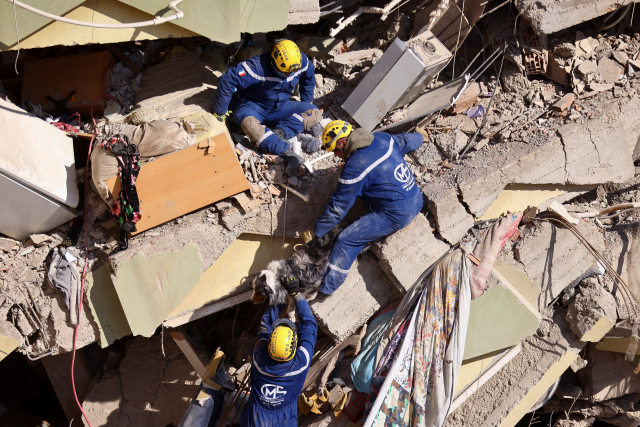 튀르키예 남부 카흐라만마라쉬에서 구조대원들이 11일(현지 시간) 생존자 수색을 위해 구조견과 함께 지진으로 무너진 건물 잔해를 오르고 있다. 이번 지진으로 인한 튀르키예와 시리아의 사망자 수가 총 2만 8000여 명으로 불어난 가운데 지진 발생 이후 ‘72시간 골든타임’이 지났음에도 기적 같은 생환 소식이 계속 전해지고 있다. 로이터연합뉴스