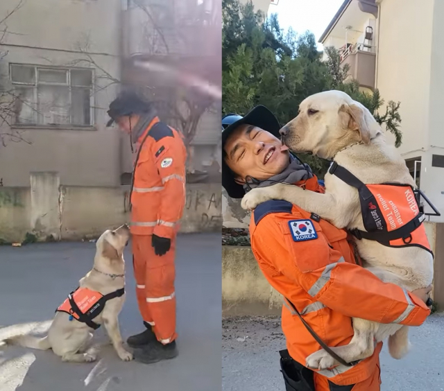 붕대를 푼 토백이가 건강한 모습으로 조련사와 함께 훈련을 하고 있다. ‘구조견 토백이’ 유튜브 채널 갈무리