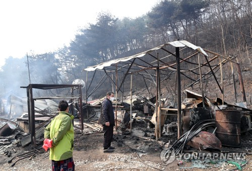 동해안 대형 산불 발생 나흘째인 지난해 3월7일 강원 동해시 초구동에서 피해 주민이 전소된 주택을 살펴보고 있다. 연합뉴스