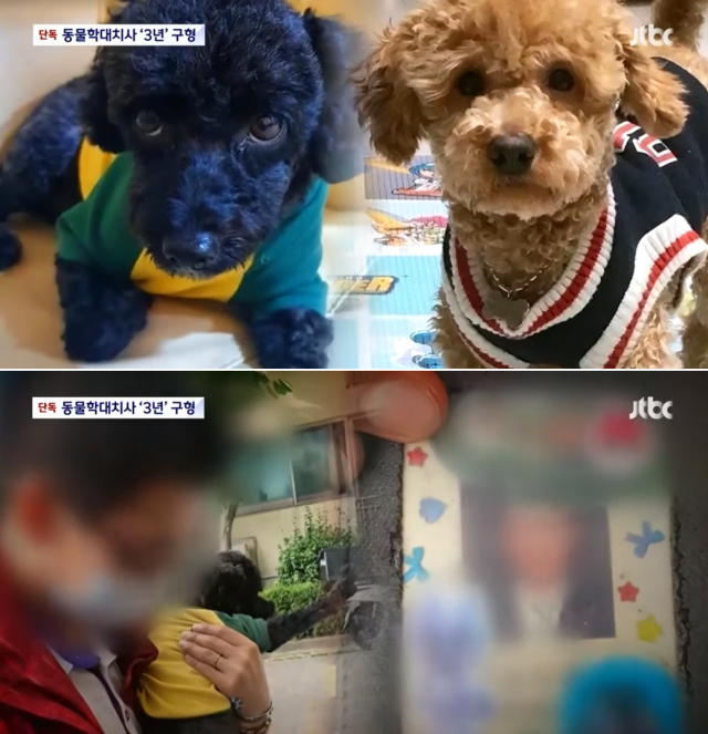 JTBC 보도화면 갈무리.