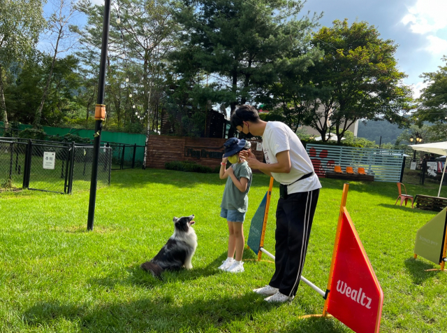 견주가 홍천 비발디파크 잔디광장에서 강아지와 함께 어질리티 교육을 받고 있다. /사진제공=대명소노그룹