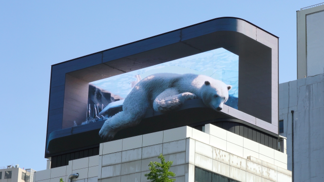 지난해 환경의 날을 맞아 HS애드가 서울시청역 인근 옥외광고에서 진행한 북극곰 영상. /사진제공=HS애드