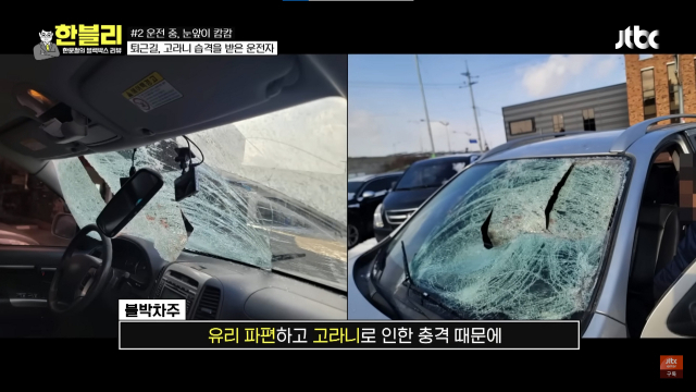 이 사연은 지난 2월 JTBC '한문철의 블랙박스 리뷰(한블리)'를 통해서도 다뤄졌다. 사진은 고라니의 습격을 받고 파손된 A씨 차량의 모습이다. JTBC 한블리 갈무리