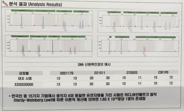 DNA 신원확인정보 분석결과 예시. 검찰 관계자는 DNA의 각 마크별 결과값을 비교할 수 있을 뿐 개인정보를 특정할 수 있는 요소는 없다고 설명했다. 이건율 기자