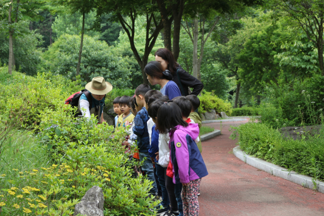 국립유명산자연휴양림에서 숲해설사가 어린이들을 대상으로 숲해설 프로그램을 운영하고 있다. 사진제공=산림청