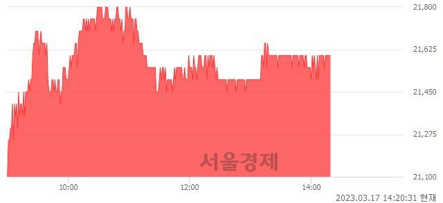 <코>월덱스, 3.86% 오르며 체결강도 강세 지속(169%)