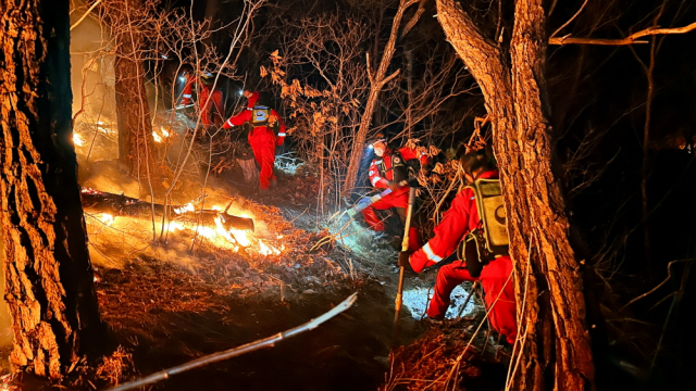 산불진화대원들이 경북 상주시 외남명 흔평리 산 84-1 일원에서 발생한 산불을 야간에 진화하고 있다. 사진제공=산림청