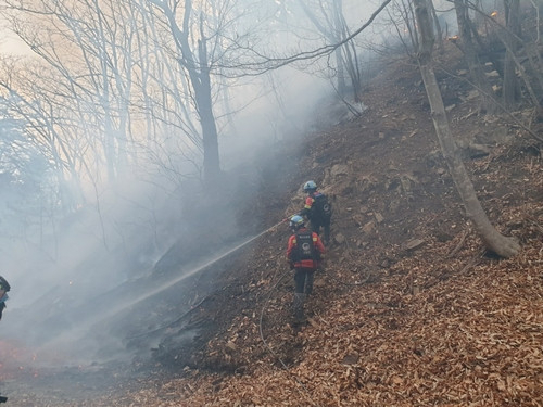 18일 충남 예산군 금오산에서 산불이 발생해 산림,소방 당국이 진화작업을 진행 중이다. /연합뉴스