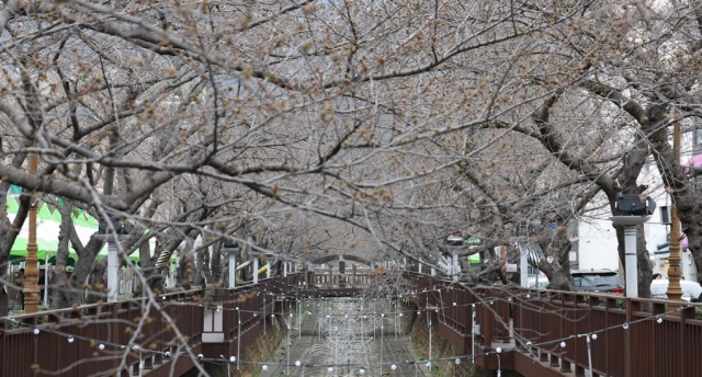 진해군항제 앞둔 로망스다리. 연합뉴스