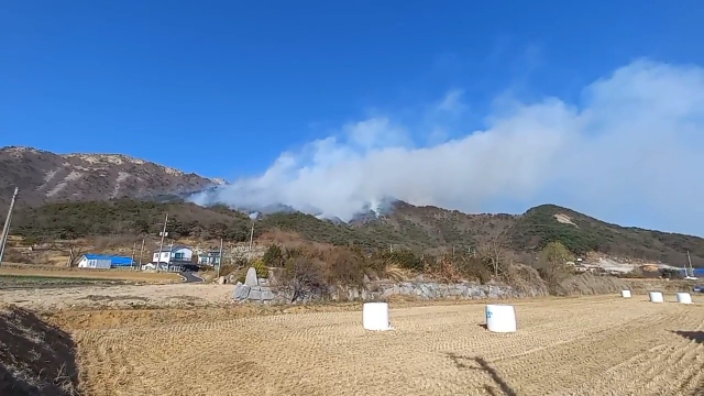 인천시 강화군 동막리 마니산 산불 현장. 사진제공=인천소방본부