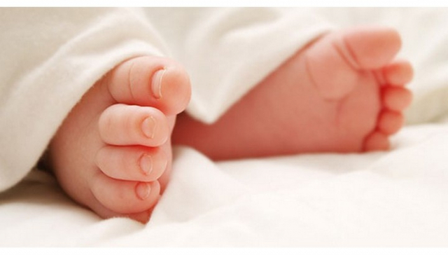 출생아 중 '첫째'가 62.7% 사상 최고