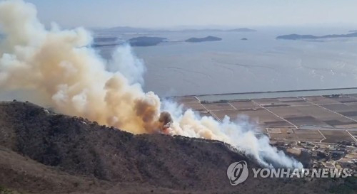 인천 마니산 산불로 22만㎡ 잿더미…경찰, 수사전담팀 구성