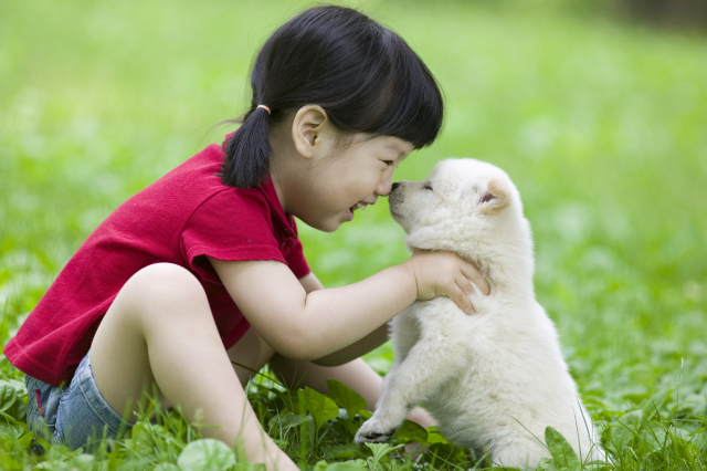 사진은 기사와 직접적 연관이 없습니다. 이미지투데이