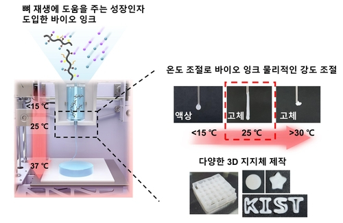 독성 없는 3D 바이오 잉크 개발