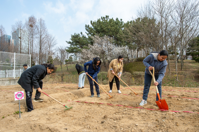 송도국제도시 행복텃밭 가꾸기 사업에 참여한 외국인들이 흙을 고르고 있다. 사진제공=인천경제자유구역청