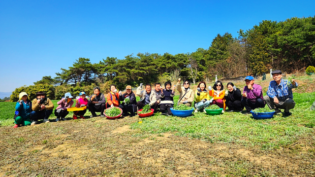 함평군민으로 구성된 ‘가치로그’ 팀이 블로그 운영 100일 프로젝트 일환으로 지역 명소를 체험하는 모습. 사진 제공=함평군