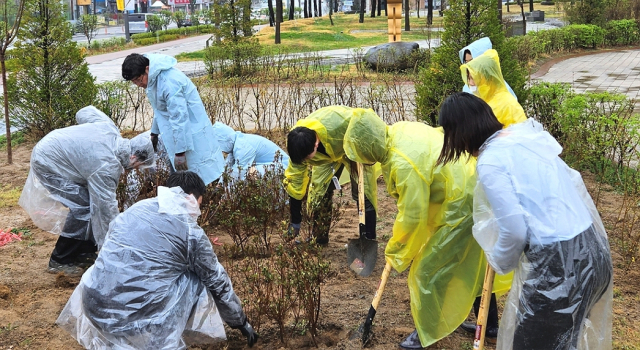 휴젤 임직원이 5일 식목일을 맞아 강원 춘천에서 나무 심기 행사를 진행하고 있다. 사진 제공=휴젤