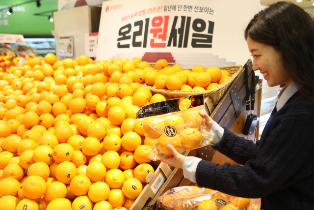 롯데마트 서울역점에서 모델이 오렌지를 고르고 있다. /사진제공=롯데쇼핑