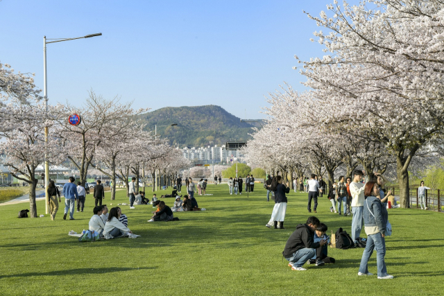 2023순천만국제정원박람회 그린아일랜드에서 봄을 만끽하고 있는 관람객들. 2023순천만국제정원박람회가 불러오고 있는 전남의 새로운 변화에 전국의 이목이 집중되고 있다. 사진 제공=순천시