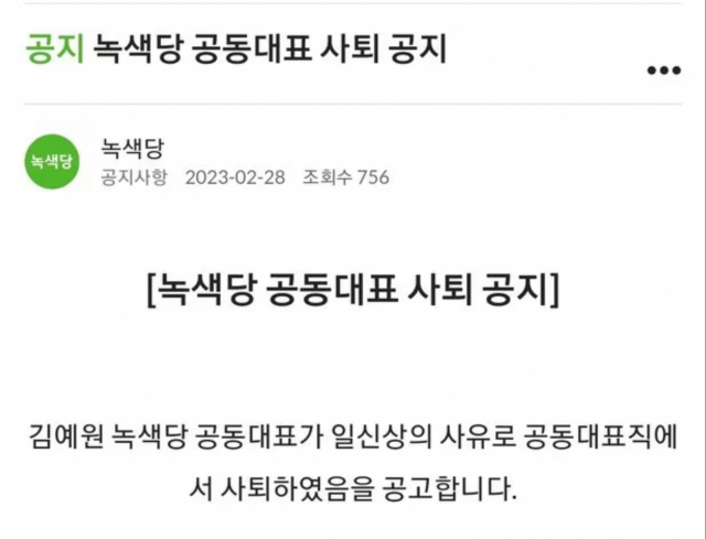 녹색당은 지난 2월 28일 홈페이지를 통해 김 전 공동대표의 사퇴를 공고했다. 녹색당 홈페이지 캡처