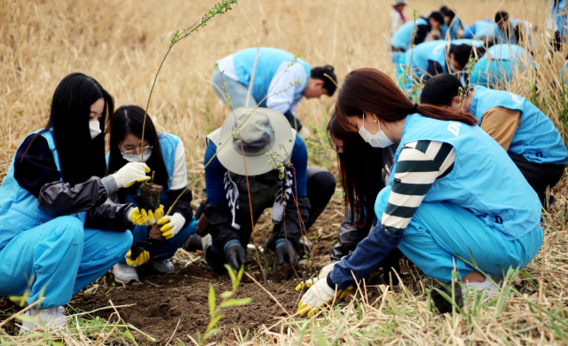 두산퓨얼셀 직원들이 서울시 성동구 살곶이공원에 갯버들 등의 관목을 심고 있다. 사진 제공=두산듀얼셀