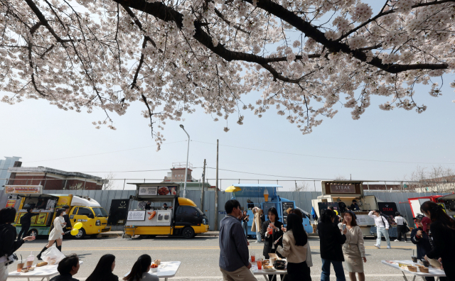 나들이객들이 지난달 31일 충북 청주시 상당구 무심천변 벚꽃길에서 영업 중인 푸드트럭을 찾아 음식을 즐기고 있다. 청주=연합뉴스