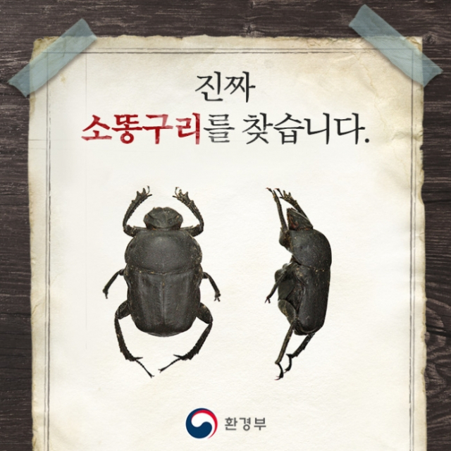 사진=환경부 제공