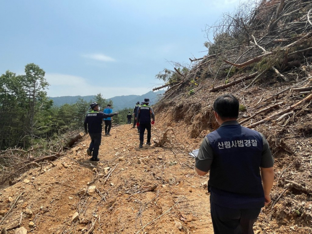 산림청 직원들이 산림 내 불법행위 단속 활동을 벌이고 있다. 연합뉴스